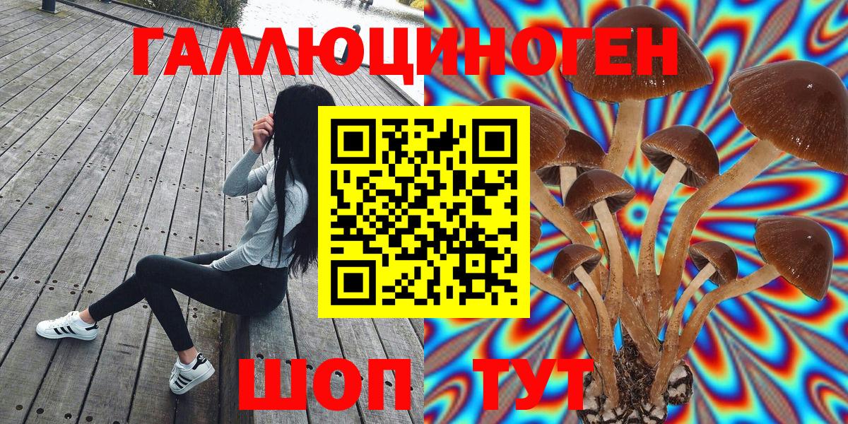 Псилоцибиновые грибы MAGIC MUSHROOMS  Вход с VPN  Кингисепп 